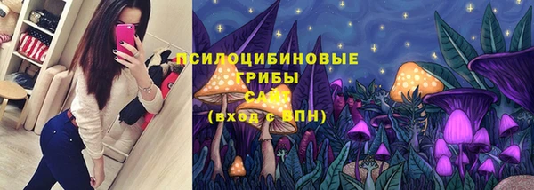 мдпв Арсеньев