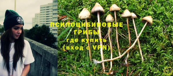 бошки Аркадак