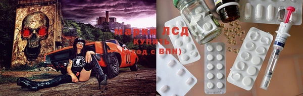 бошки Аркадак