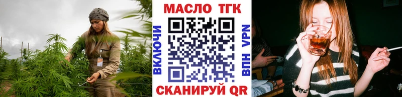 ТГК концентрат  Купить закладки  Судогда 