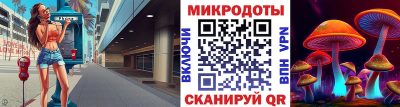 Купить  Судогда  Галлюциногенные грибы Cubensis 